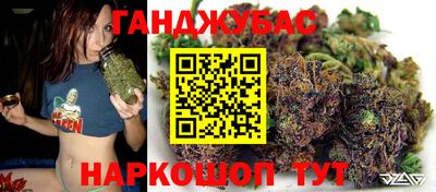 ешки Кингисепп