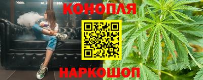 ешки Кингисепп