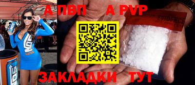 ешки Кингисепп